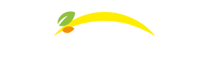 Bonduelle - Zpět domů